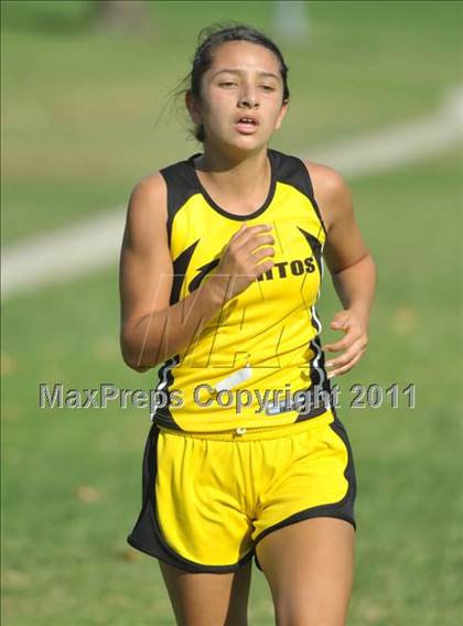 Thumbnail 3 in Suburban League Cluster No. 1 photogallery.