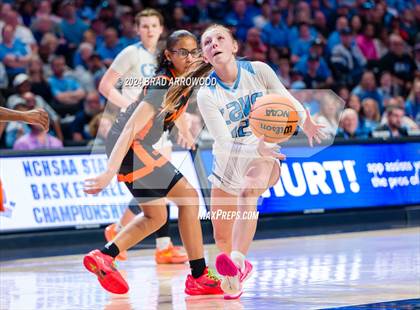 Thumbnail 1 in North Pitt vs East Burke (NCHSAA 2A Final) photogallery.