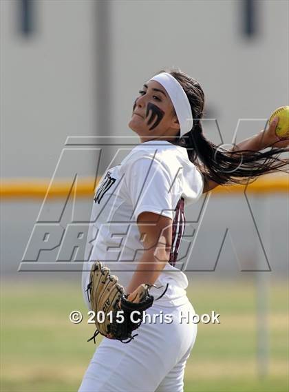 Thumbnail 1 in Sahuaro @ Desert View photogallery.