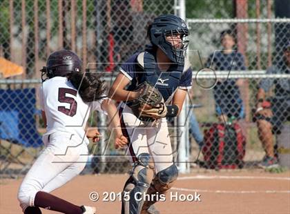 Thumbnail 1 in Sahuaro @ Desert View photogallery.