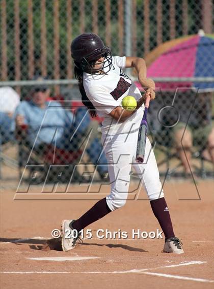 Thumbnail 1 in Sahuaro @ Desert View photogallery.