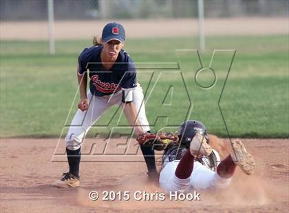 Thumbnail 1 in Sahuaro @ Desert View photogallery.