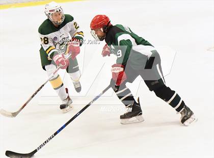 Thumbnail 2 in Mountain Ridge vs. Horizon (AHSHA D2 Playoff) photogallery.
