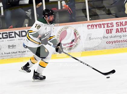 Thumbnail 2 in Mountain Ridge vs. Horizon (AHSHA D2 Playoff) photogallery.
