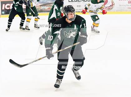 Thumbnail 3 in Mountain Ridge vs. Horizon (AHSHA D2 Playoff) photogallery.