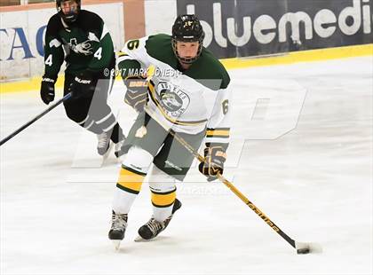 Thumbnail 1 in Mountain Ridge vs. Horizon (AHSHA D2 Playoff) photogallery.