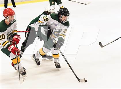 Thumbnail 3 in Mountain Ridge vs. Horizon (AHSHA D2 Playoff) photogallery.