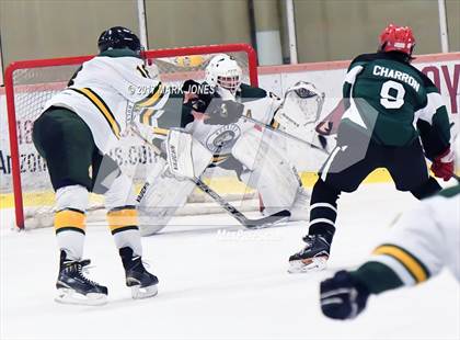 Thumbnail 1 in Mountain Ridge vs. Horizon (AHSHA D2 Playoff) photogallery.
