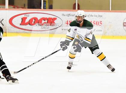 Thumbnail 2 in Mountain Ridge vs. Horizon (AHSHA D2 Playoff) photogallery.