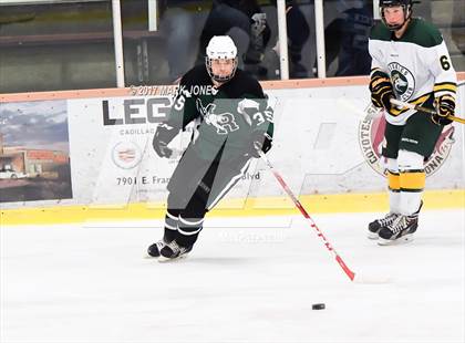 Thumbnail 1 in Mountain Ridge vs. Horizon (AHSHA D2 Playoff) photogallery.