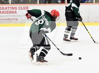 Thumbnail 1 in Mountain Ridge vs. Horizon (AHSHA D2 Playoff) photogallery.