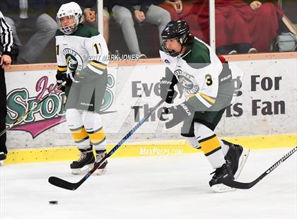 Thumbnail 3 in Mountain Ridge vs. Horizon (AHSHA D2 Playoff) photogallery.