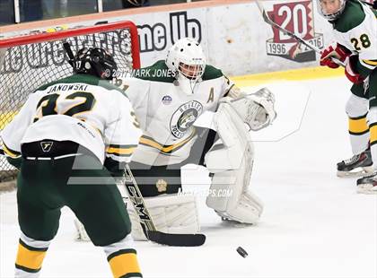 Thumbnail 1 in Mountain Ridge vs. Horizon (AHSHA D2 Playoff) photogallery.