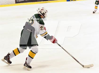 Thumbnail 1 in Mountain Ridge vs. Horizon (AHSHA D2 Playoff) photogallery.
