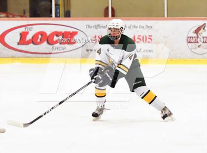 Thumbnail 1 in Mountain Ridge vs. Horizon (AHSHA D2 Playoff) photogallery.