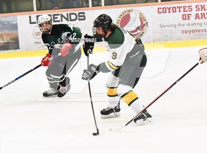 Thumbnail 3 in Mountain Ridge vs. Horizon (AHSHA D2 Playoff) photogallery.