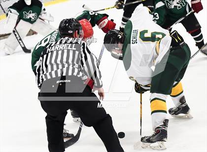 Thumbnail 2 in Mountain Ridge vs. Horizon (AHSHA D2 Playoff) photogallery.