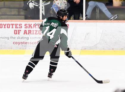 Thumbnail 1 in Mountain Ridge vs. Horizon (AHSHA D2 Playoff) photogallery.