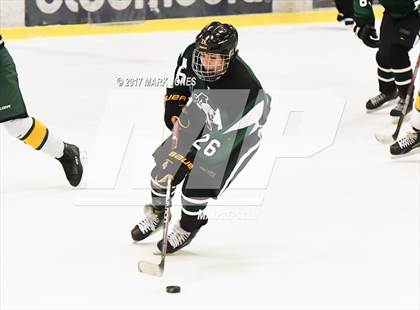 Thumbnail 2 in Mountain Ridge vs. Horizon (AHSHA D2 Playoff) photogallery.