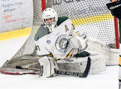 Thumbnail 1 in Mountain Ridge vs. Horizon (AHSHA D2 Playoff) photogallery.