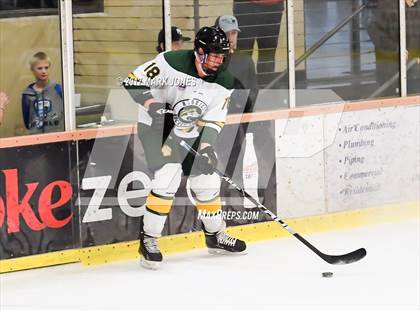 Thumbnail 3 in Mountain Ridge vs. Horizon (AHSHA D2 Playoff) photogallery.