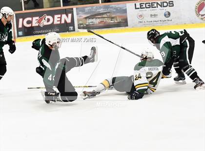 Thumbnail 1 in Mountain Ridge vs. Horizon (AHSHA D2 Playoff) photogallery.