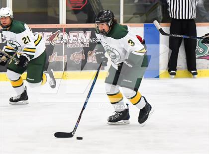 Thumbnail 3 in Mountain Ridge vs. Horizon (AHSHA D2 Playoff) photogallery.