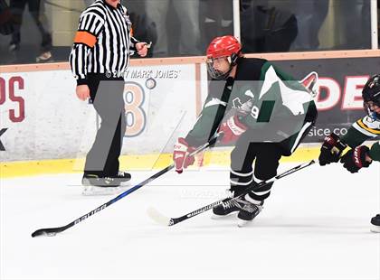 Thumbnail 3 in Mountain Ridge vs. Horizon (AHSHA D2 Playoff) photogallery.