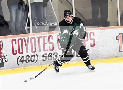 Thumbnail 2 in Mountain Ridge vs. Horizon (AHSHA D2 Playoff) photogallery.