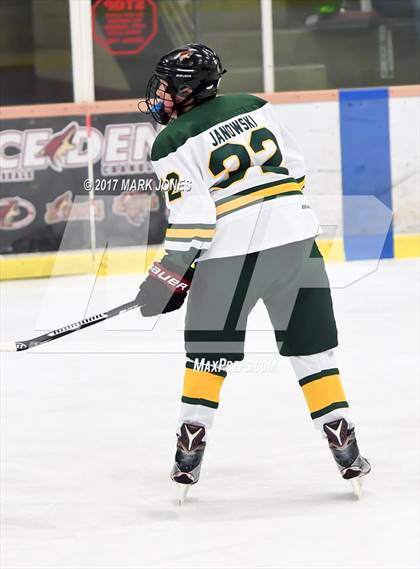 Thumbnail 1 in Mountain Ridge vs. Horizon (AHSHA D2 Playoff) photogallery.
