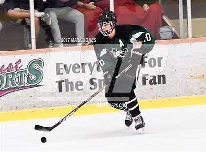 Thumbnail 1 in Mountain Ridge vs. Horizon (AHSHA D2 Playoff) photogallery.