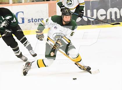 Thumbnail 3 in Mountain Ridge vs. Horizon (AHSHA D2 Playoff) photogallery.