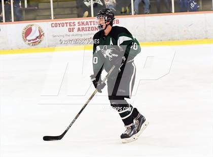 Thumbnail 1 in Mountain Ridge vs. Horizon (AHSHA D2 Playoff) photogallery.