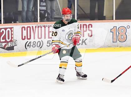 Thumbnail 1 in Mountain Ridge vs. Horizon (AHSHA D2 Playoff) photogallery.