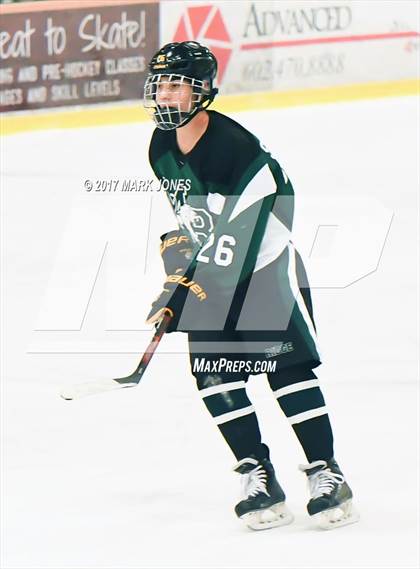 Thumbnail 1 in Mountain Ridge vs. Horizon (AHSHA D2 Playoff) photogallery.