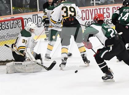 Thumbnail 1 in Mountain Ridge vs. Horizon (AHSHA D2 Playoff) photogallery.