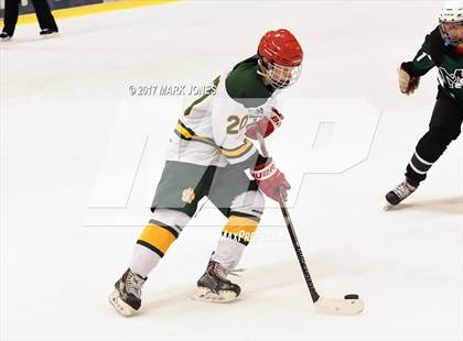 Thumbnail 1 in Mountain Ridge vs. Horizon (AHSHA D2 Playoff) photogallery.