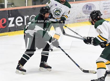 Thumbnail 1 in Mountain Ridge vs. Horizon (AHSHA D2 Playoff) photogallery.