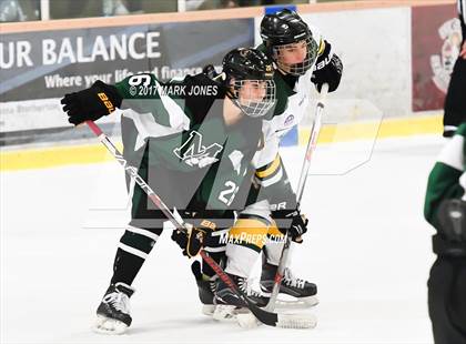 Thumbnail 1 in Mountain Ridge vs. Horizon (AHSHA D2 Playoff) photogallery.