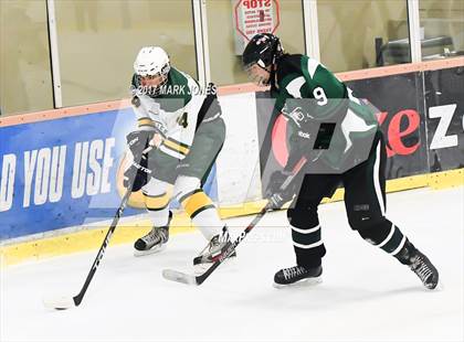 Thumbnail 3 in Mountain Ridge vs. Horizon (AHSHA D2 Playoff) photogallery.