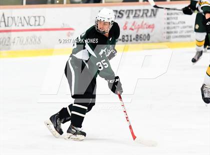 Thumbnail 1 in Mountain Ridge vs. Horizon (AHSHA D2 Playoff) photogallery.