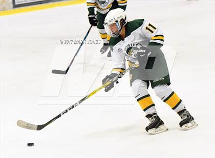 Thumbnail 1 in Mountain Ridge vs. Horizon (AHSHA D2 Playoff) photogallery.