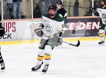 Thumbnail 3 in Mountain Ridge vs. Horizon (AHSHA D2 Playoff) photogallery.