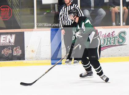 Thumbnail 1 in Mountain Ridge vs. Horizon (AHSHA D2 Playoff) photogallery.