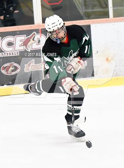 Thumbnail 3 in Mountain Ridge vs. Horizon (AHSHA D2 Playoff) photogallery.