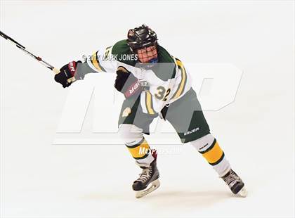 Thumbnail 3 in Mountain Ridge vs. Horizon (AHSHA D2 Playoff) photogallery.
