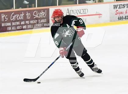 Thumbnail 1 in Mountain Ridge vs. Horizon (AHSHA D2 Playoff) photogallery.