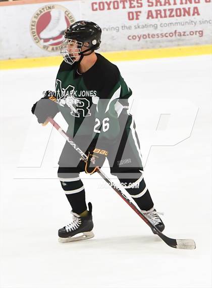 Thumbnail 2 in Mountain Ridge vs. Horizon (AHSHA D2 Playoff) photogallery.