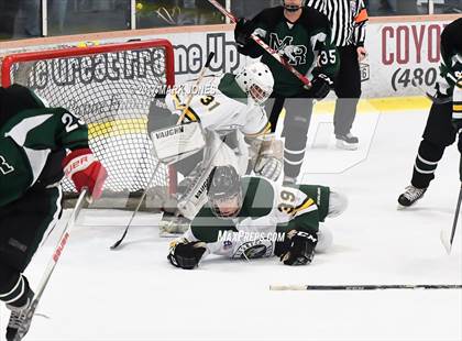 Thumbnail 1 in Mountain Ridge vs. Horizon (AHSHA D2 Playoff) photogallery.
