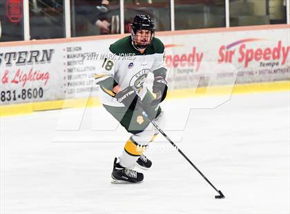 Thumbnail 1 in Mountain Ridge vs. Horizon (AHSHA D2 Playoff) photogallery.
